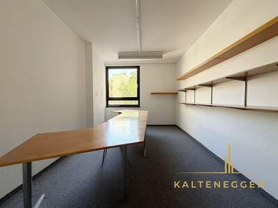 Gewerbeobjekt mieten in 1080 Wien (Bild 4)