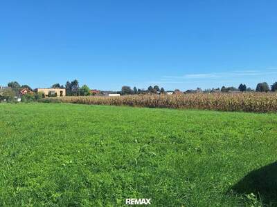 Anlageobjekt kaufen in 8472 Straß