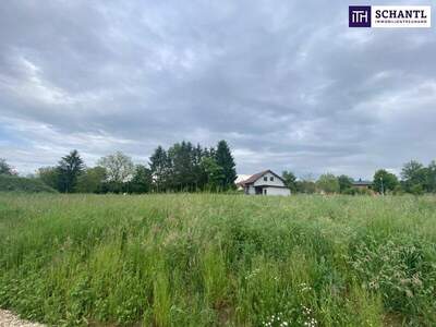 Grundstück kaufen in 7564 Dobersdorf (Bild 3)