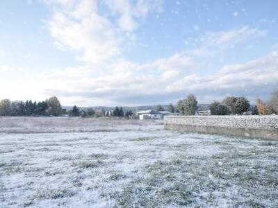 Grundstück kaufen in 3380 Pöchlarn