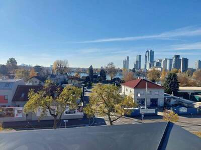 Wohnung kaufen in 1220 Wien