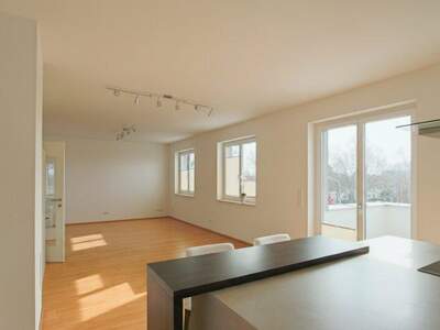 Terrassenwohnung mieten in 1220 Wien (Bild 3)