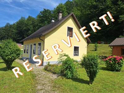 Einfamilienhaus kaufen in 3292 Gaming (Bild 1)