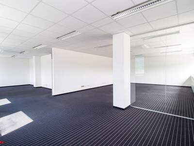 Gewerbeobjekt mieten in 4600 Thalheim (Bild 4)