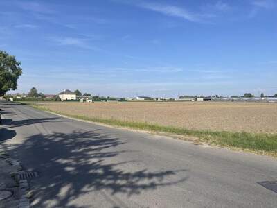 Gewerbeobjekt kaufen in 1220 Wien (Bild 2)