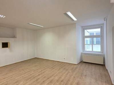 Gewerbeobjekt mieten in 1010 Wien (Bild 3)