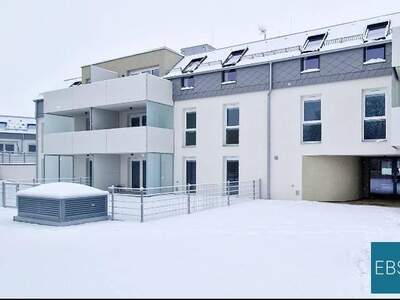 Wohnung mieten in 2482 Münchendorf
