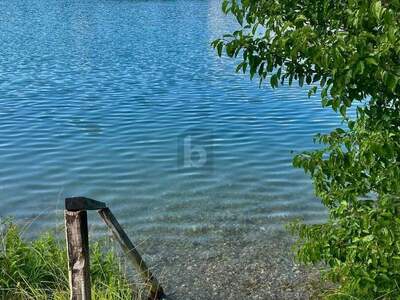 Terrassenwohnung kaufen in 3422 Sankt Andrä (Bild 5)