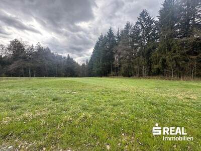 Land- und Forstwirtschaft kaufen in 4722 Steegen