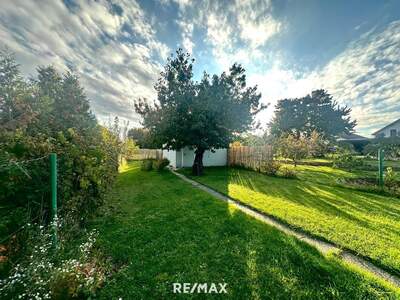 Haus kaufen in 2272 Ringelsdorf