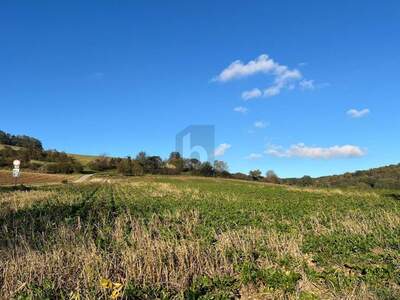 Grundstück kaufen in 3443 Sieghartskirchen (Bild 2)