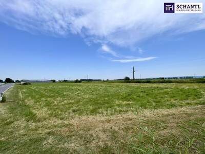 Grundstück kaufen in 2441 Mitterndorf