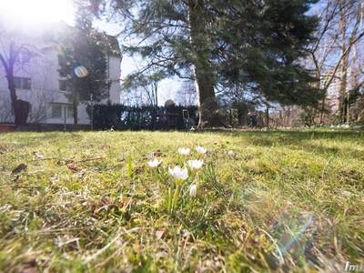 Anlageobjekt kaufen in 8020 Graz