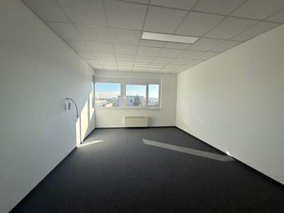 Gewerbeobjekt mieten in 1220 Wien (Bild 4)