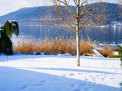 Wohnung kaufen in 9082 Maria Wörth (Bild 4)