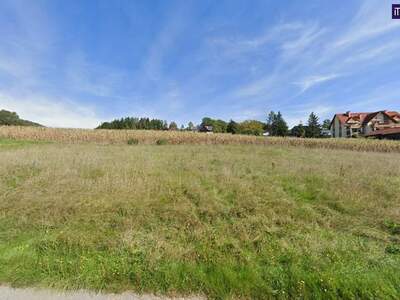 Grundstück kaufen in 8323 St. Marein