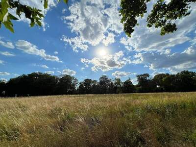 Grundstück provisionsfrei kaufen in 2432 Schwadorf