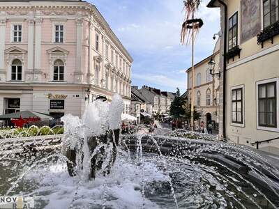 Gewerbeobjekt mieten in 2340 Mödling