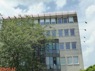 Gewerbeobjekt mieten in 1110 Wien 11. (Bild 1)