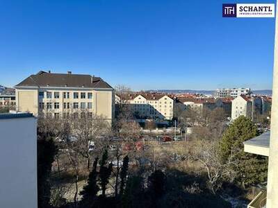 Anlageobjekt kaufen in 1100 Wien