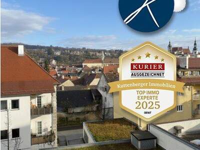 Terrassenwohnung mieten in 3500 Krems (Bild 1)