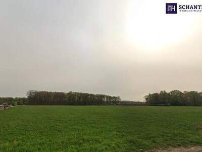 Grundstück kaufen in 8430 Leibnitz