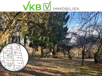 Grundstück kaufen in 4211 Spattendorf