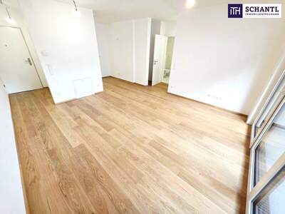 Terrassenwohnung kaufen in 1230 Wien (Bild 3)