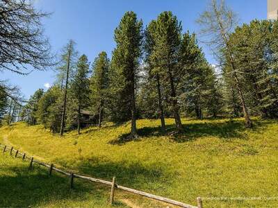Grundstück kaufen in 9565 Reichenau