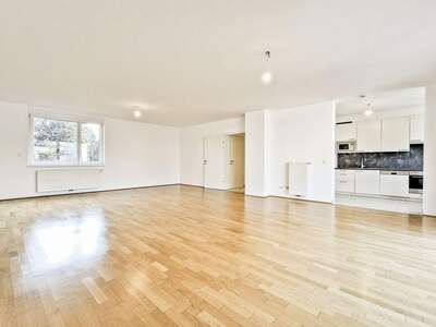 Wohnung mit Balkon mieten in 1190 Wien (Bild 1)