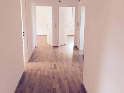 Wohnung provisionsfrei mieten in 6800 Feldkirch