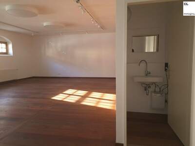 Gewerbeobjekt mieten in 5310 Mondsee (Bild 5)