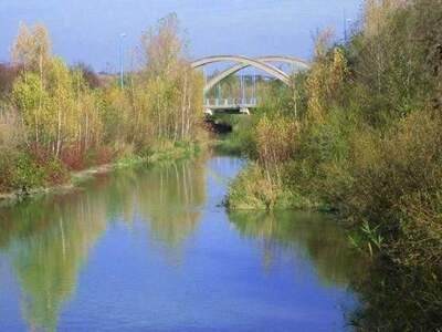 Wohnung mieten in 2201 Gerasdorf