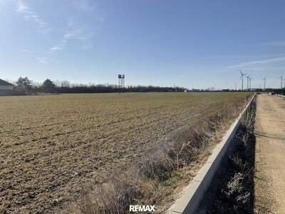 Grundstück kaufen in 2425 Nickelsdorf