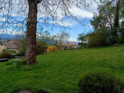 Grundstück kaufen in 4902 Wolfsegg (Bild 5)