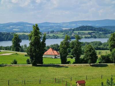 Wohnung mit Balkon mieten in 9313 St. Georgen (Bild 2)