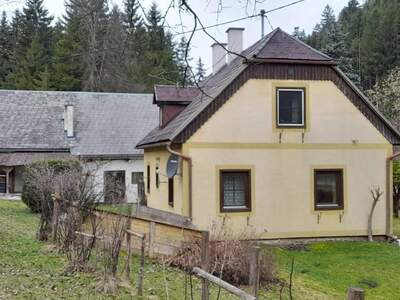 Einfamilienhaus kaufen in 8903 Lassing (Bild 4)