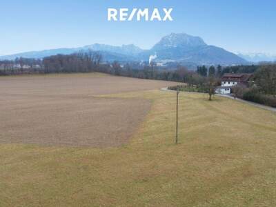Grundstück kaufen in 4664 Laakirchen (Bild 2)