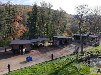 Haus kaufen in 3400 3400 Klosterneuburg