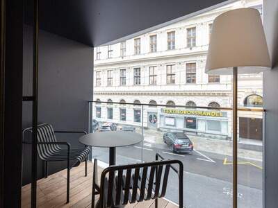 Terrassenwohnung mieten in 1010 Wien (Bild 3)