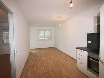 Wohnung mieten in 8020 Graz