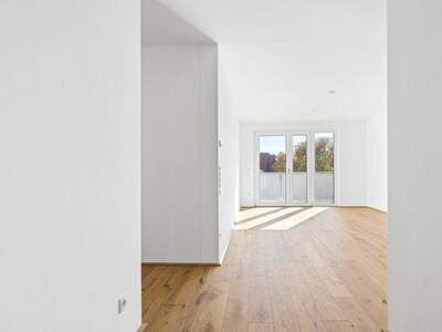 Terrassenwohnung mieten in 2700 Wr. Neustadt (Bild 5)