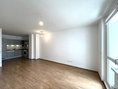 Terrassenwohnung mieten in 1080 Wien (Bild 1)