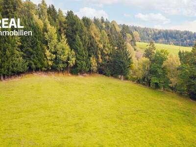 Grundstück kaufen in 8954 St. Martin (Bild 2)