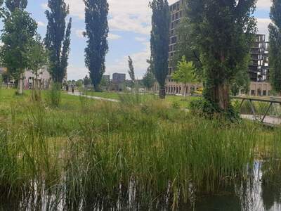 Mietwohnung in 8020 Graz (Bild 3)