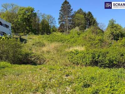 Grundstück kaufen in 3400 Klosterneuburg (Bild 3)