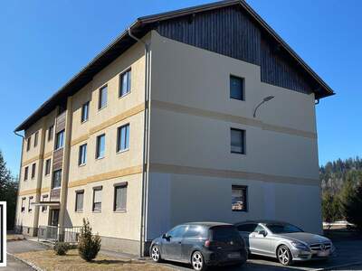 Anlageobjekt kaufen in 8793 Hafning