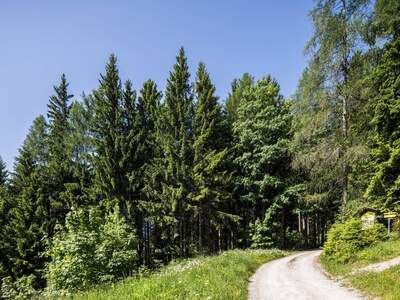 Gewerbeobjekt kaufen in 2651 Prein (Bild 2)