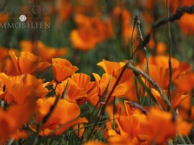 Terrassenwohnung kaufen in 1110 Wien (Bild 1)