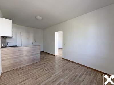 Wohnung mieten in 4600 Wels (Bild 2)